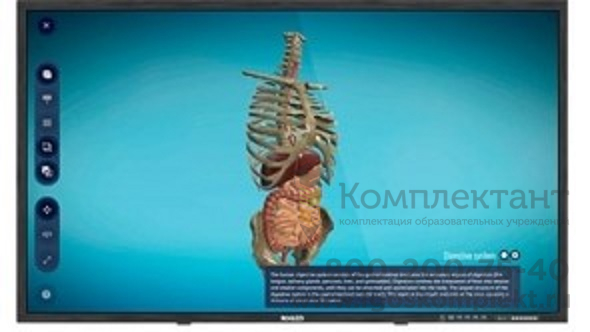Интерактивная панель 65" с 3D программным обеспечением для школьных учреждений:  900 3D моделей Биология, Химия, Физика, География настенная