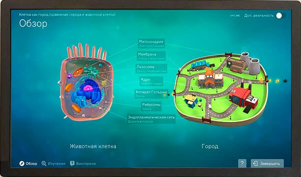 Интерактивная панель 65" с 3D с образовательным контентом mozaBook (мозаБук) 